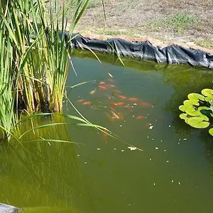 La Barca In Secca Casa rural